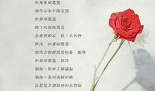 席慕容：悬崖菊及赏析