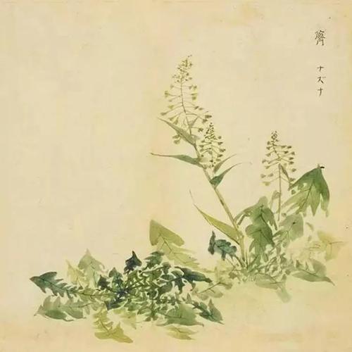 诗经：车外
