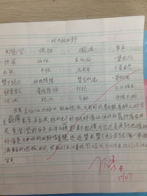 书中漂亮的句子