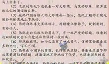 描写穿着的句子