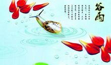 谷雨的有关谚语