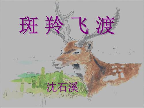 目标飞行继续