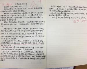 300字的阅读经验