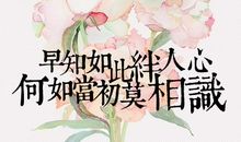 经典语录：最好不相知，如此便可不相思