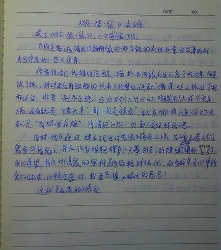 阅读后200字