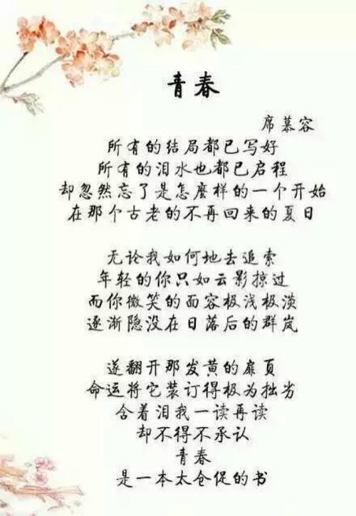 习慕容：独白与欣赏