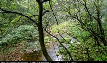 描写溪水声音的词语