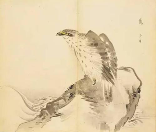诗经：白桦
