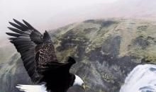 重新定义人生的10000个小时：世上没有天才