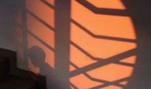 席慕容：独木及赏析