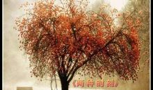 席慕容：两种时刻