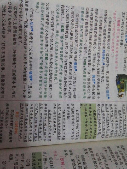 不要饿马