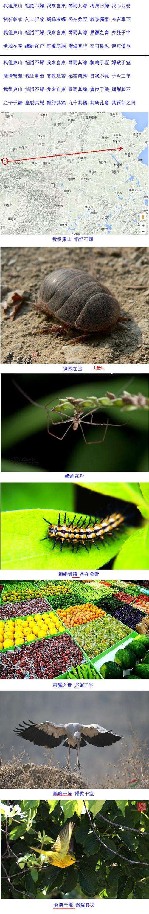 诗经：狼后记