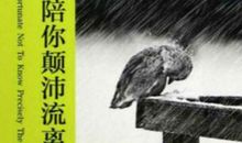 总有人会令你相信，坚持还存在很多意义