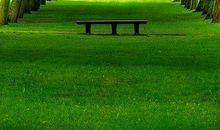 经典语录：若得不到，护不了，宁愿孤独到老