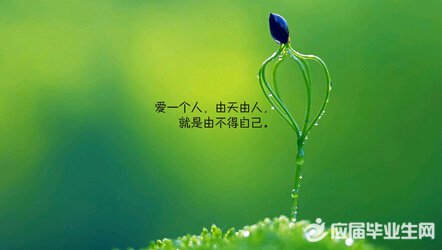 友善的句子