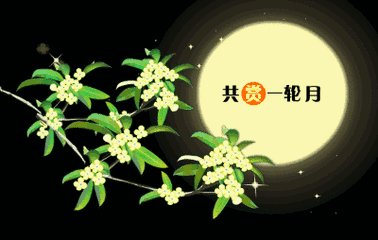 朋友祝福留言