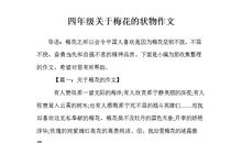 关于梅花的好句好段