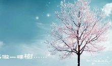 席慕容：孤独的树