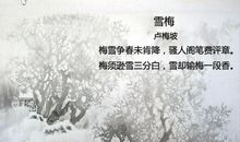 关于雪的古诗