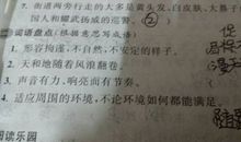 形容声音响亮的成语