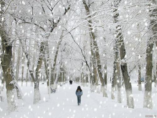 关于雪的现代诗