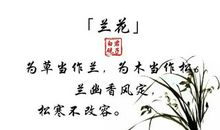 描写兰花的优美古诗句