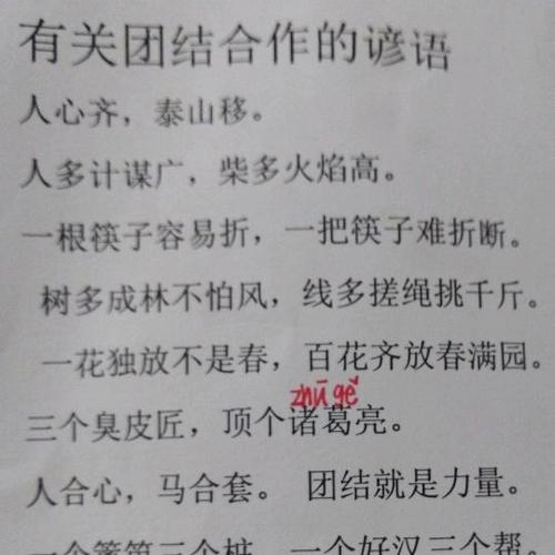 关于团结与合作的谚语选集