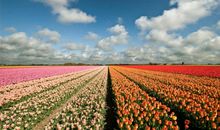 成功秘诀：把握每天的第一个钟头