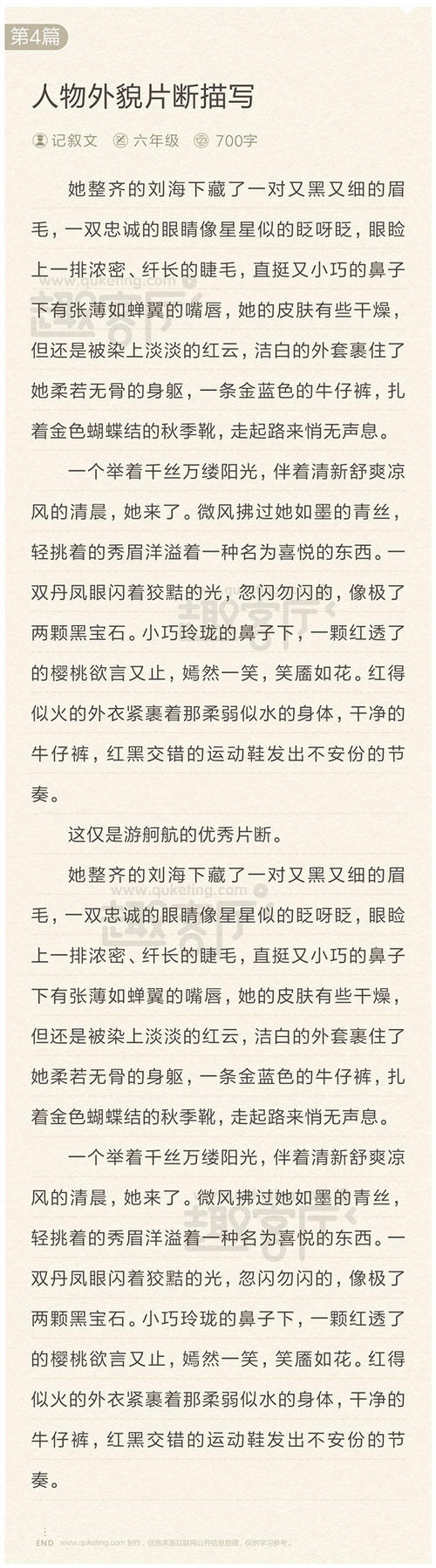 外观描述片段