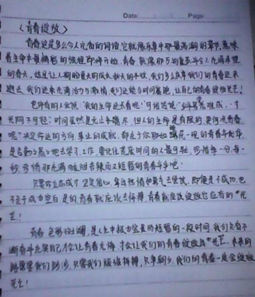 高中500字美国文摘