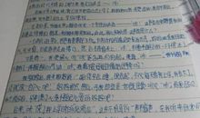 赞美父爱的段落