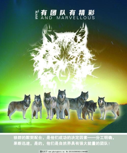 关于团队的名言