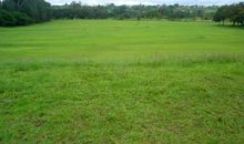 描写草地的好段