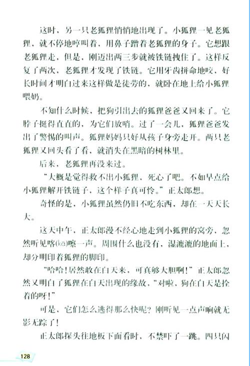 金色足迹继续