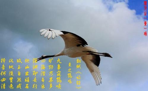 诗经：红岩