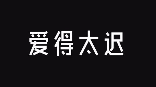 不要让你的爱来得太晚