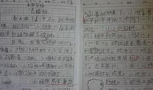 关于夏天的作文片段