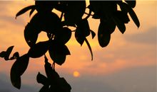 关于夏天的片段