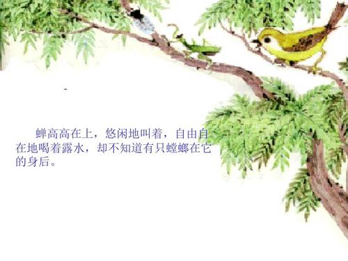 螳螂抓蝉