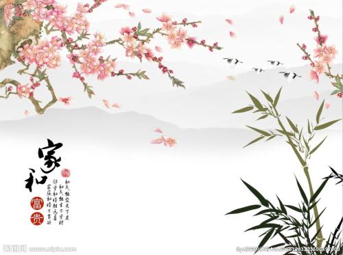赞美梅花