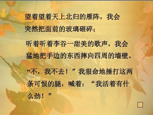 纪念秋天