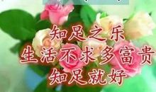 关于幸福的好段