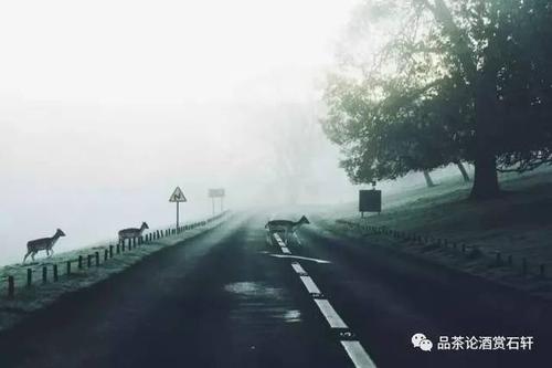 认真生活的人，生活永远不会对你不好