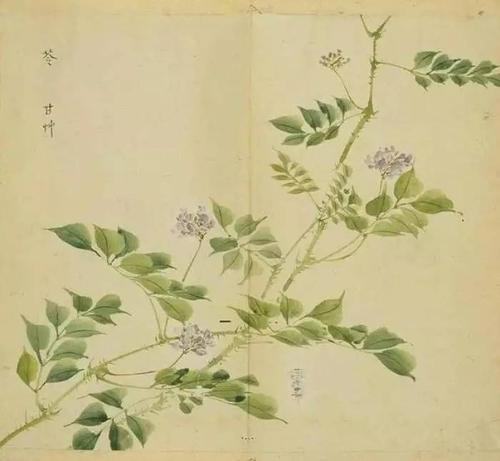 诗经：中南