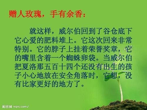 夏洛特的互联网话语