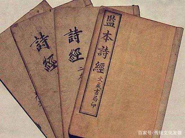 诗经：单有树