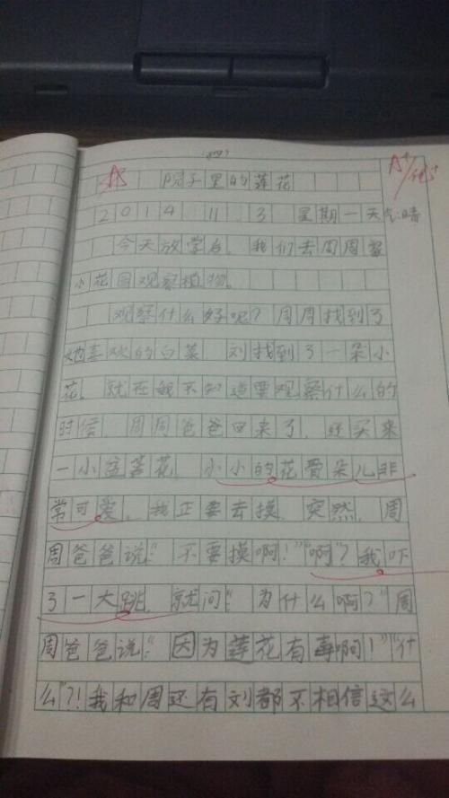 笔芯组成