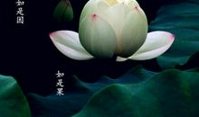 关于因果的句子