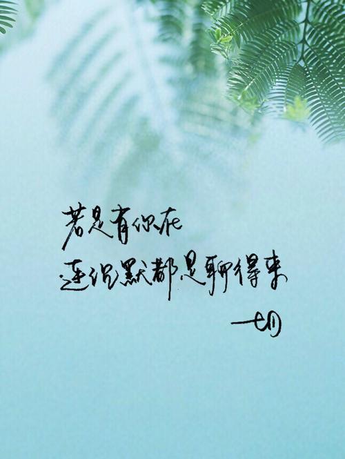 关于摄影的美丽句子